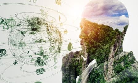 BORRAG Gummigranulat